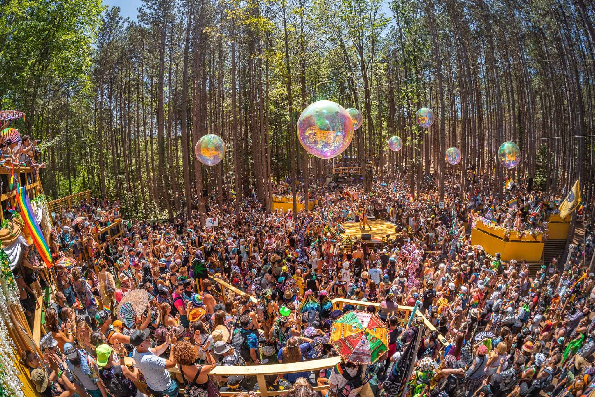 Electric forest 2025